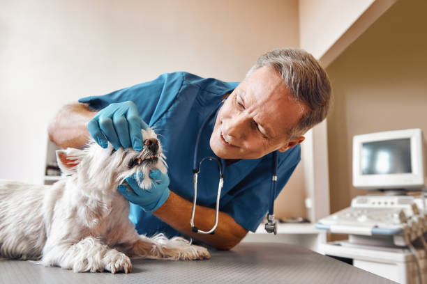 Best Emergency Wisdom Teeth Removal in Wenonah, NJ
